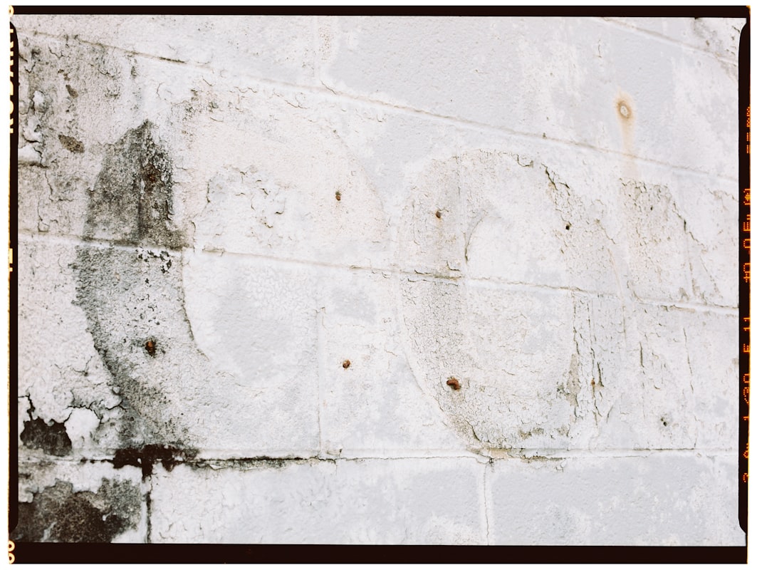 Mold Remediation service in Apple Valley, MN